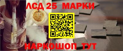индика Лесосибирск