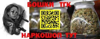 индика Лесосибирск