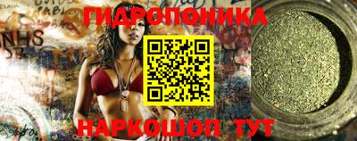индика Лесосибирск