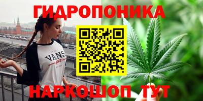 индика Лесосибирск