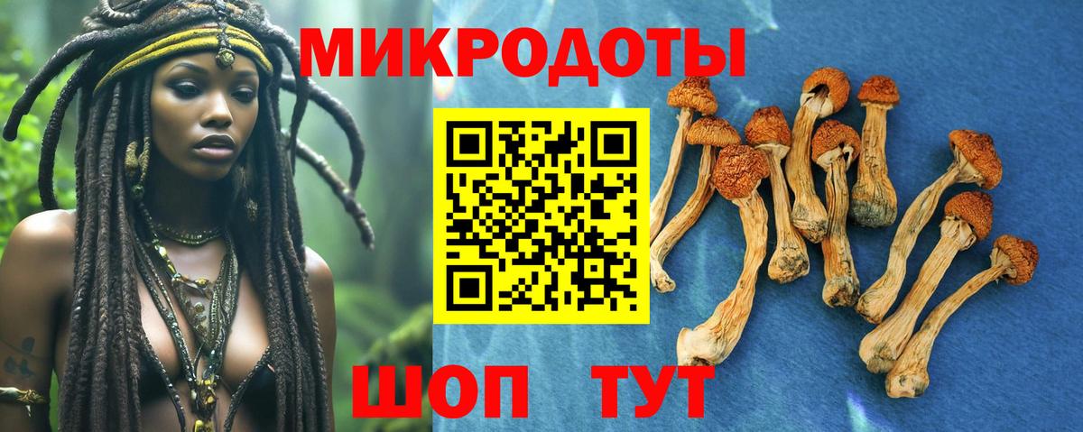 Галлюциногенные грибы мицелий Казань