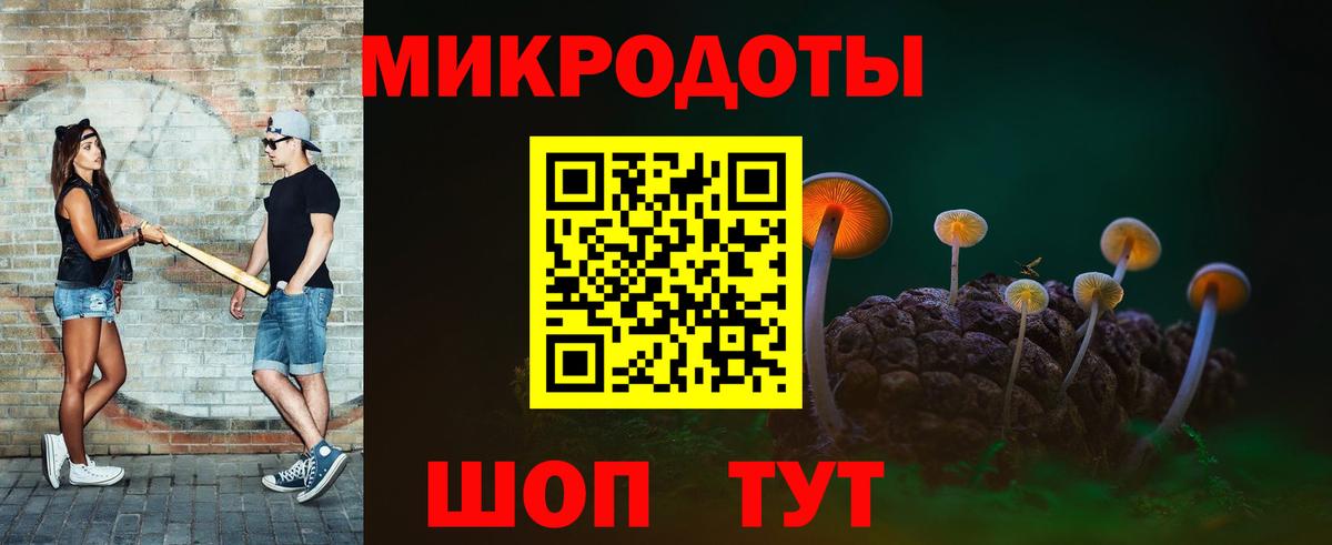 Псилоцибиновые грибы мухоморы  Вход с VPN  Казань  как найти наркотики  Галлюциногенные грибы прущие грибы 